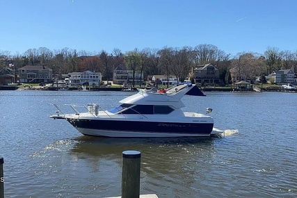 Bayliner 288 Discovery