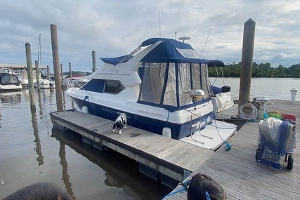 Bayliner 288 Discovery