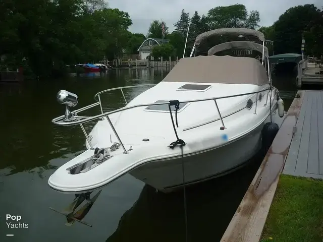 Sea Ray 270 Sundancer