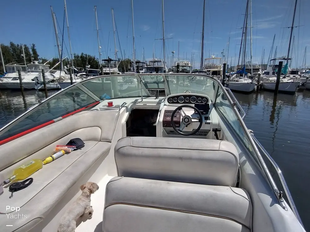 1999 Sea Ray sundancer 270