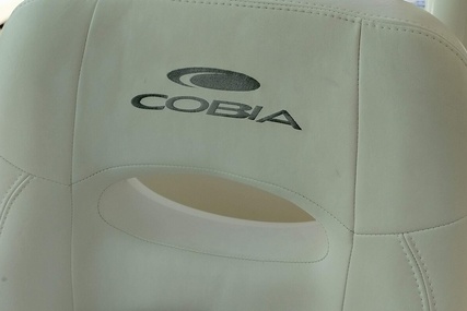 Cobia 301