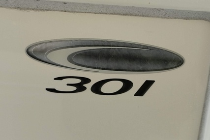 Cobia 301