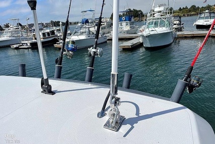 Sea Fox Commander 228 Center Console