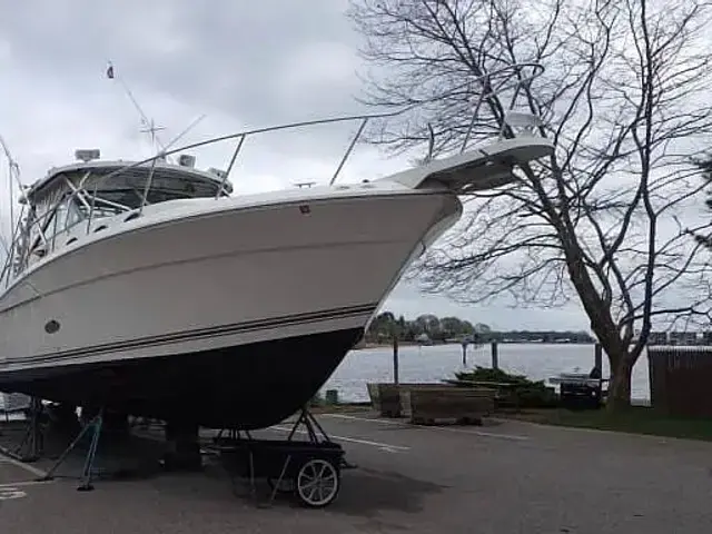 Wellcraft 330 Coastal