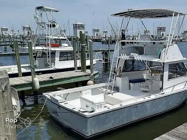 ISLAND HOPPER 30 Flybridge