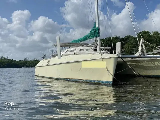 Catana 40S