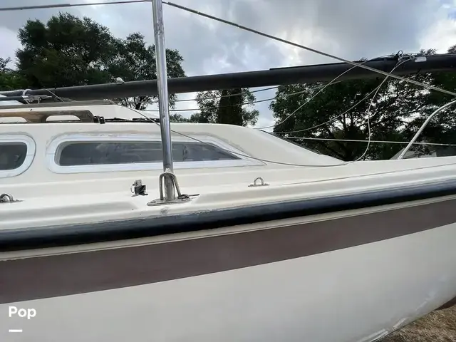 American Spirit 23