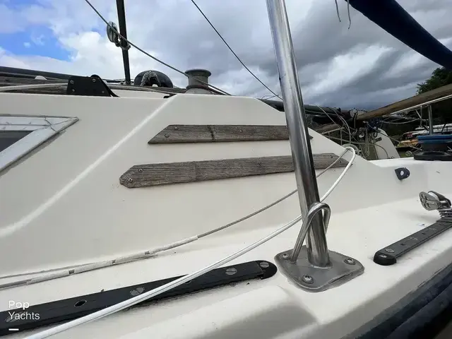 American Spirit 23