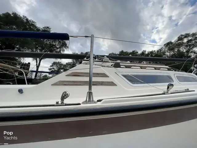 American Spirit 23