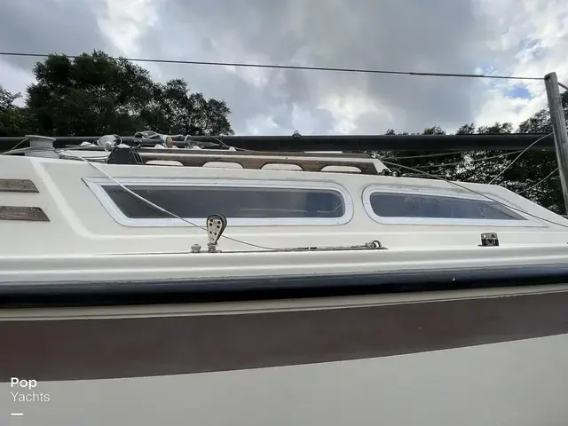 American Spirit 23