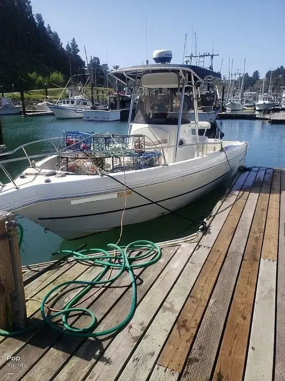 2003 Sea Hawk 230 sea hawk