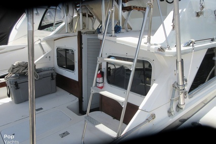 Bertram 28 Flybridge Cruiser Yacht