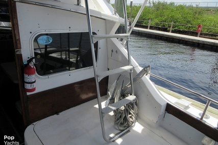 Bertram 28 Flybridge Cruiser Yacht