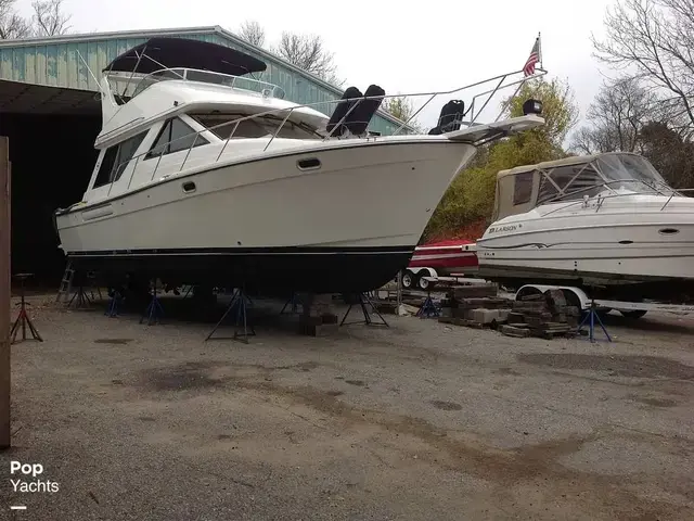 Bayliner 3988