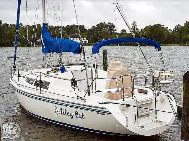 Catalina 270 LE