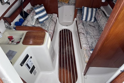 Seaward 25