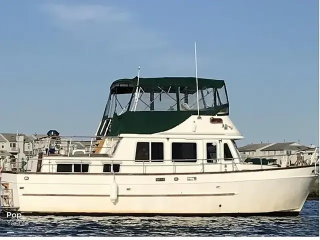 Trader 38 Double Cabin