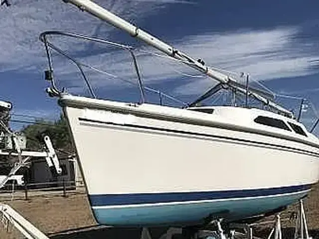 Catalina 250 Wing Keel