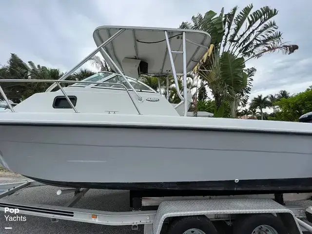 Hydra Sports Seahorse 230 Walk Around