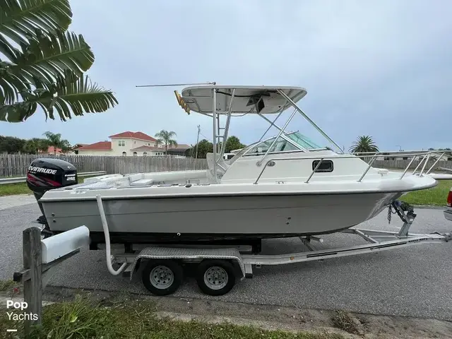 Hydra Sports Seahorse 230 Walk Around