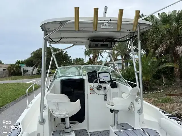 Hydra Sports Seahorse 230 Walk Around