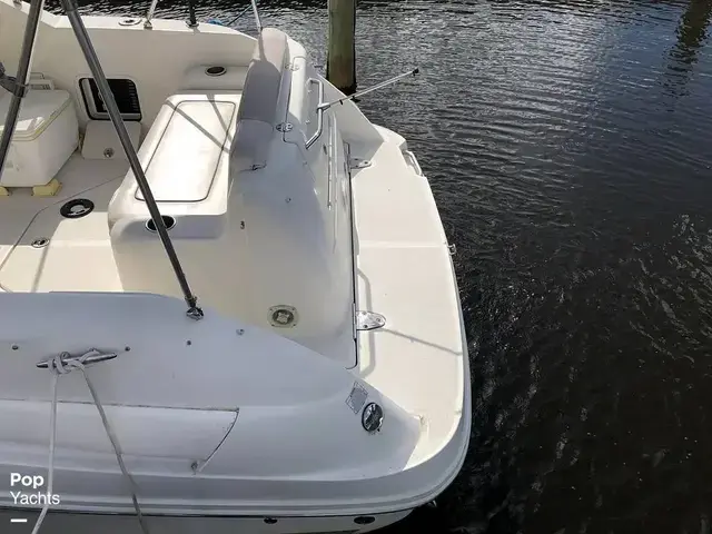 Sea Ray 240 Sundancer