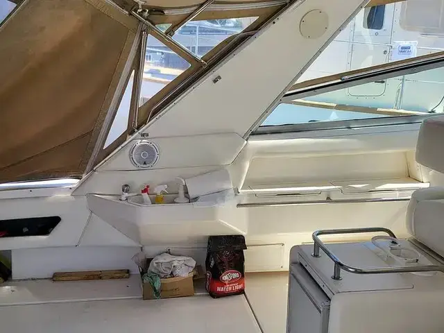 Sea Ray Sundancer 500