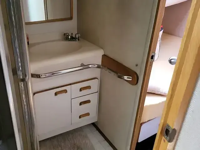 Sea Ray Sundancer 500