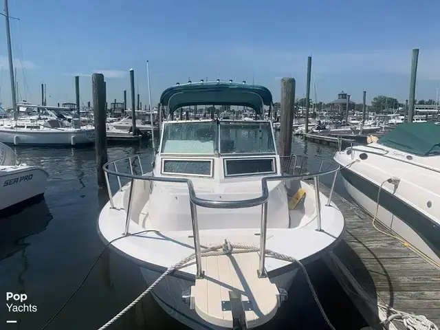 Sea Pro 230 Wa