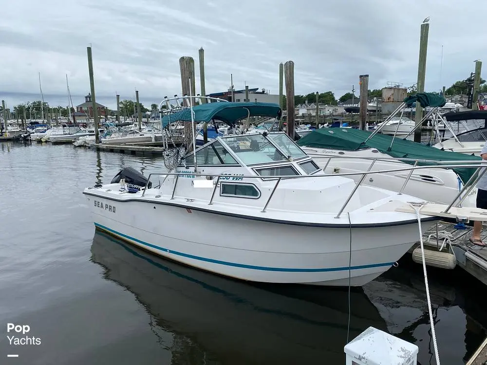 1995 Sea Pro 230 wa