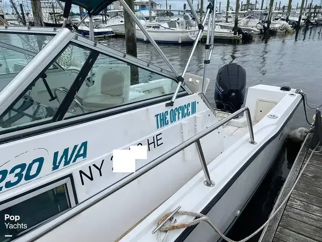 Sea Pro 230 Wa