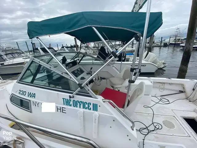 Sea Pro 230 Wa