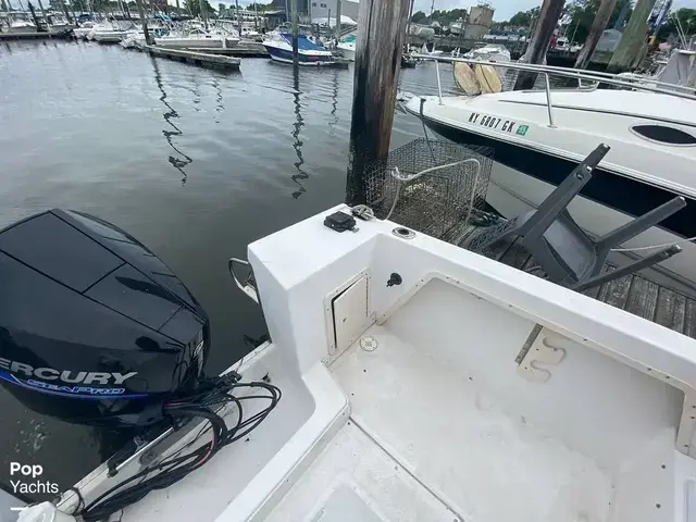 Sea Pro 230 Wa