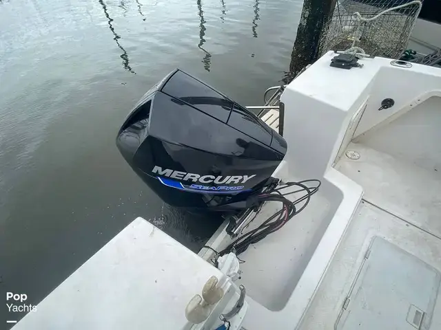 Sea Pro 230 Wa