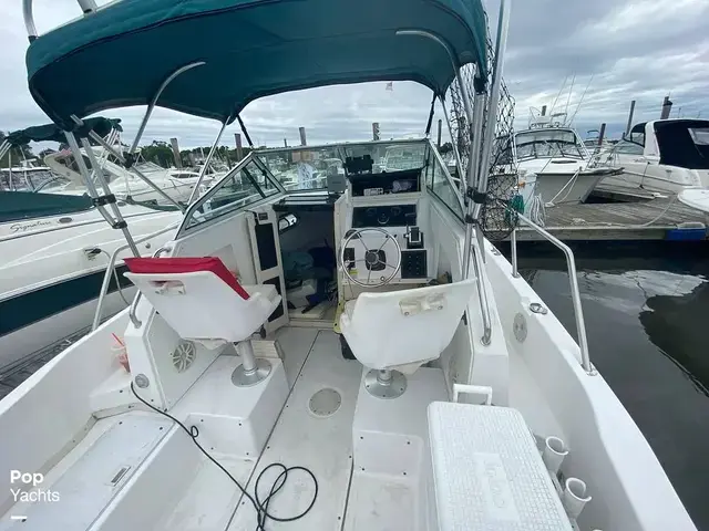 Sea Pro 230 Wa