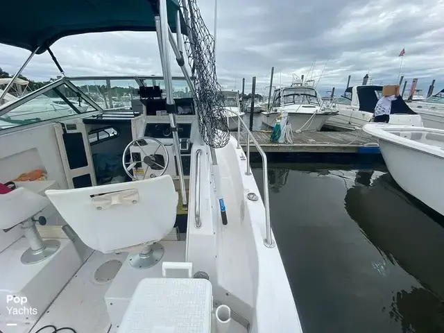 Sea Pro 230 Wa