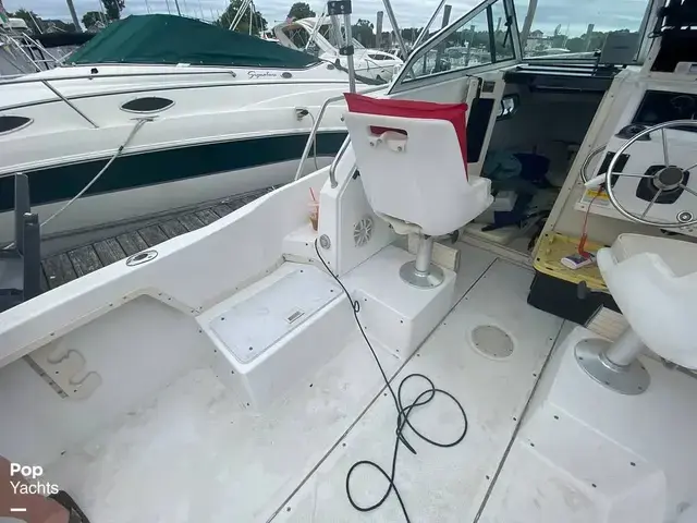 Sea Pro 230 Wa