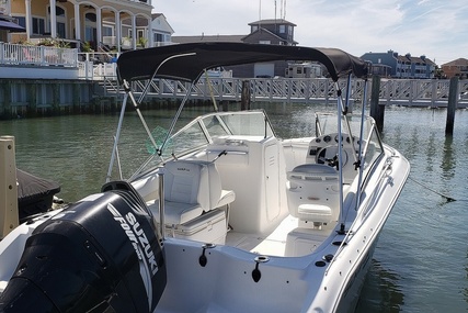 Sea Fox 206dc