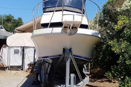 Skipjack Boats Flybridge 262