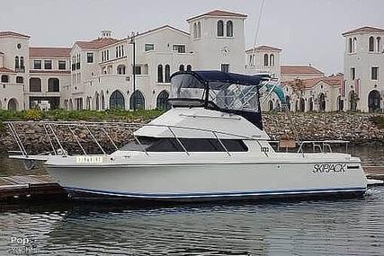 Skipjack Boats Flybridge 262