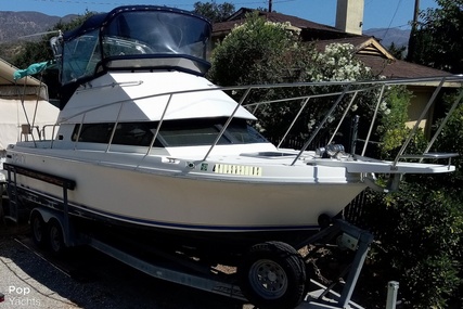 Skipjack Boats Flybridge 262