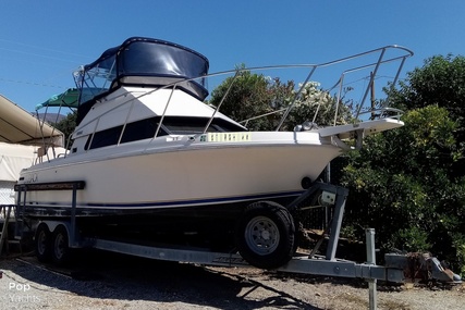 Skipjack Boats Flybridge 262