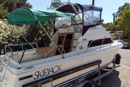 Skipjack Boats Flybridge 262