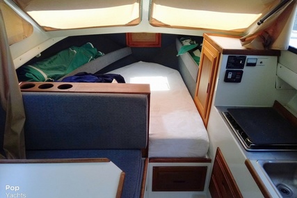 Skipjack Boats Flybridge 262