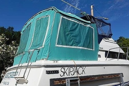 Skipjack Boats Flybridge 262