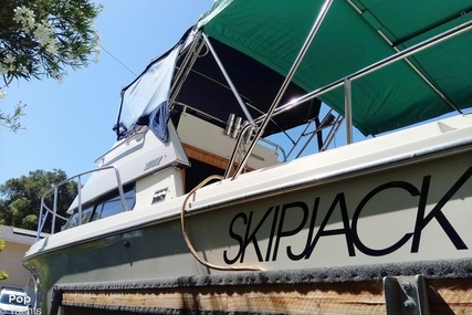 Skipjack Boats Flybridge 262