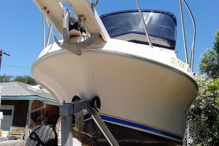 Skipjack Boats Flybridge 262