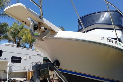 Skipjack Boats Flybridge 262