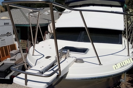 Skipjack Boats Flybridge 262