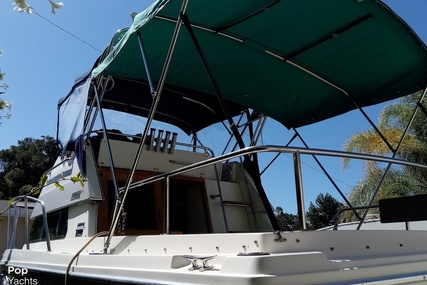 Skipjack Boats Flybridge 262